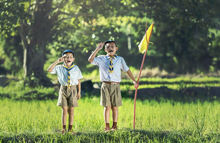 chico, exploradores, de pie, verde, hierba, sosteniendo, bandera, explorador, exploración, asia
