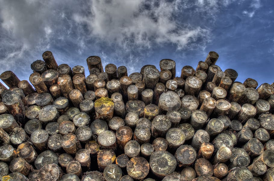 brown, wood log lot, logs, wood, timber, lumber, woodpile, forestry, logging, stacked
