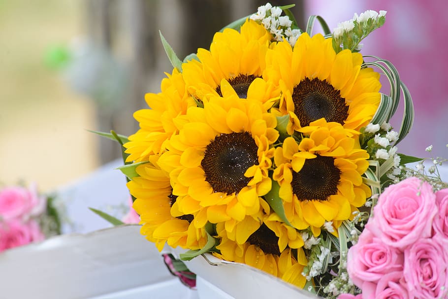 wedding flowers, sunflowers, flower, gold, beautiful flowers, the sun, nice picture, flower garden, sunflower, yellow