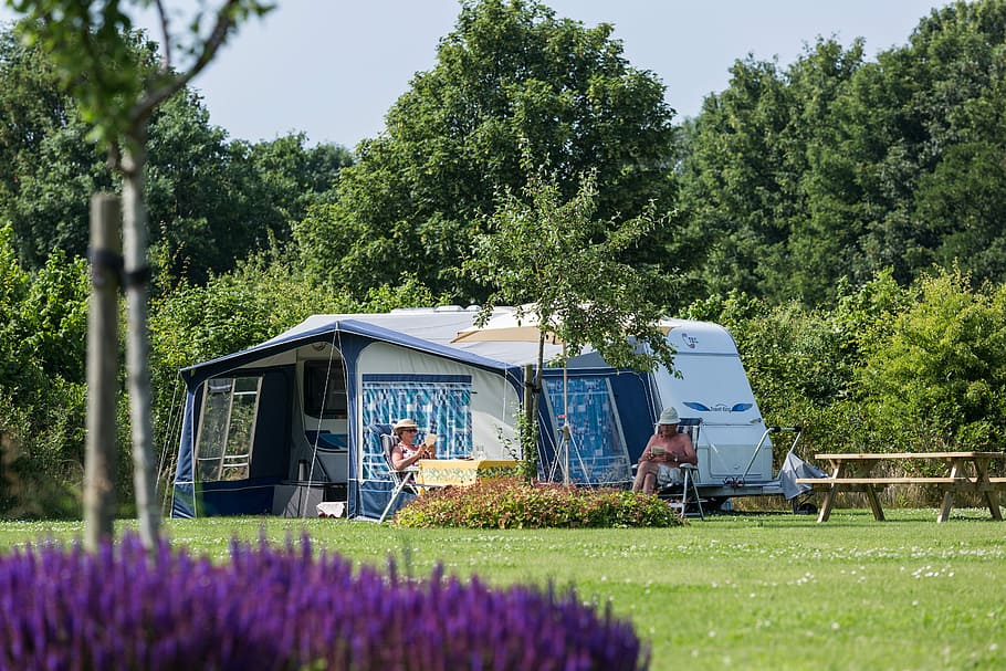 Holiday, Camping, Family, Recreation, grass, park, time, groningen, outdoor, relaxation