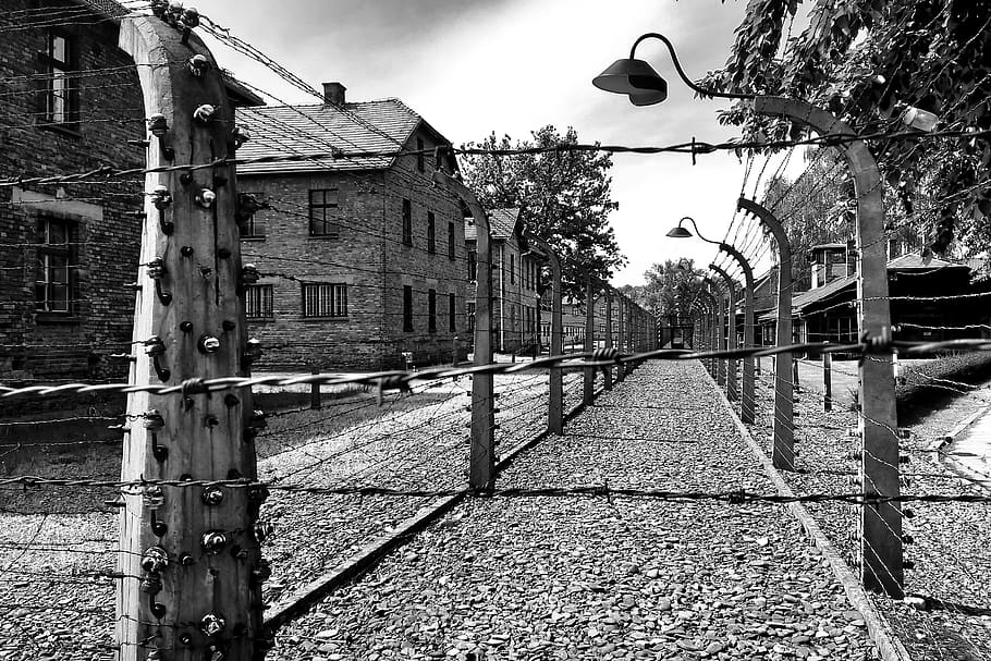auschwitz, museum, poland, camp, memorial, fence, birkenau, nazism, prison, war