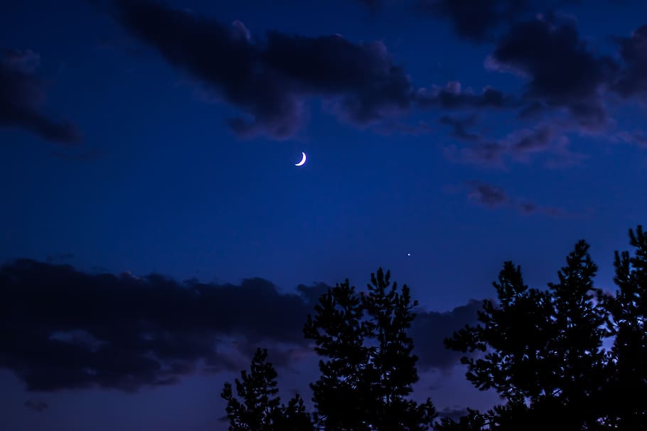 moon, star, tree, blue, night, cloudy, moody, sky, beauty in nature, cloud - sky