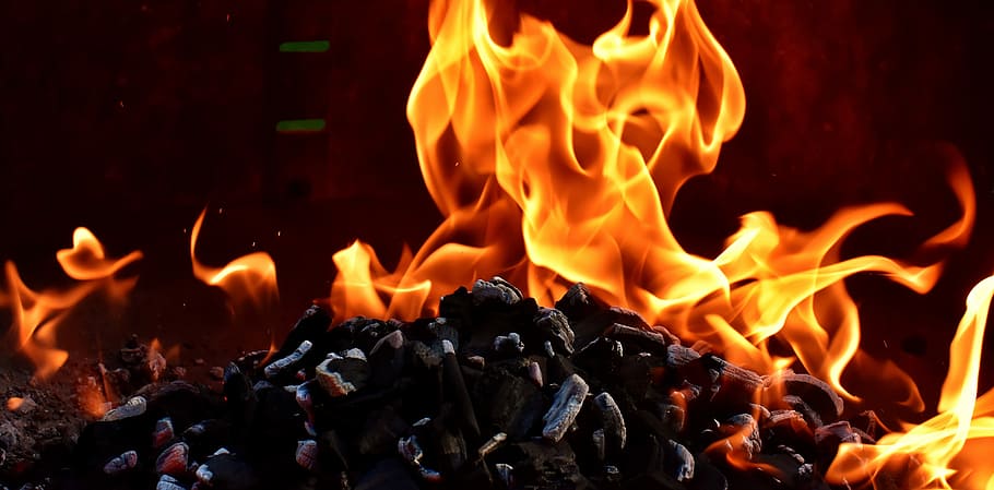 carvão em chamas, fogo, chama, carbono, queimadura, quente, humor, fogueira, lareira, ardente