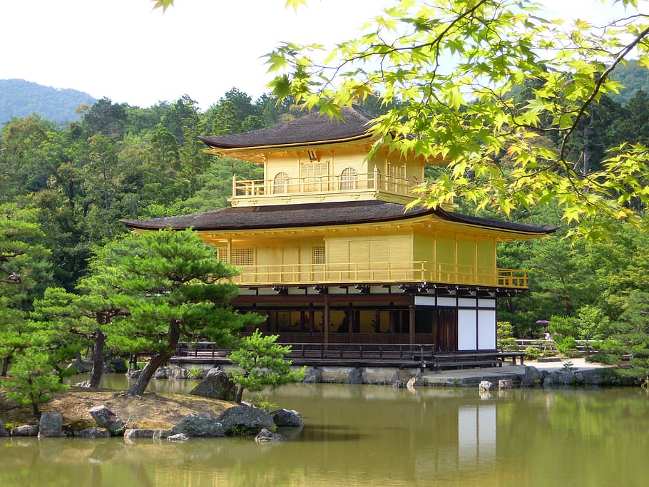 summer, temple of the golden pavilion, japan, kyoto prefecture, shrine, tree, water, plant, built structure, architecture