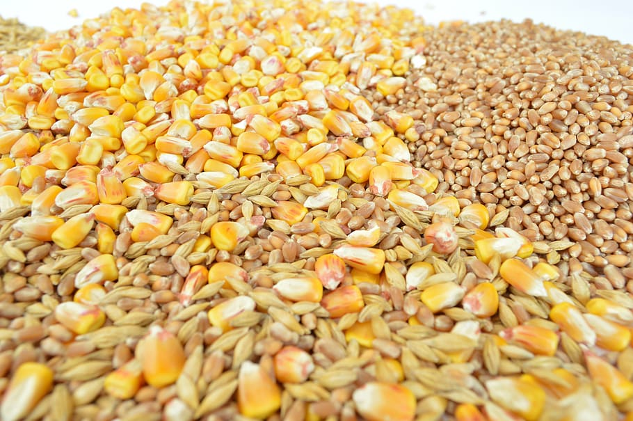 茶色, 黄色, ペレットロット, 穀物, しかし, 大麦, 小麦, 食べ物や飲み物, 食べ物, 健康