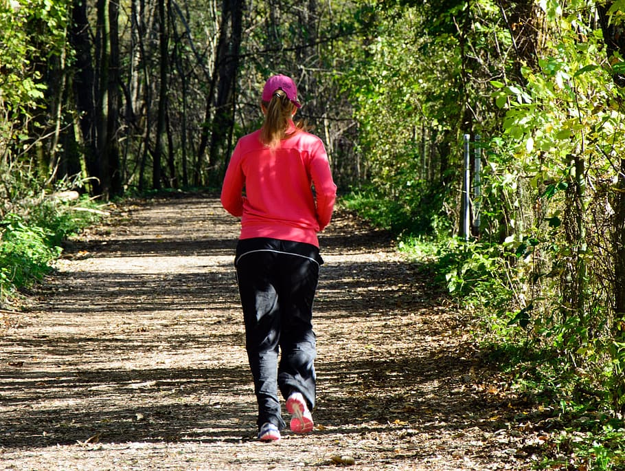 wanita, berlari, kayu, pelari, rekreasi, pemulihan, joging, lari, gadis, alam