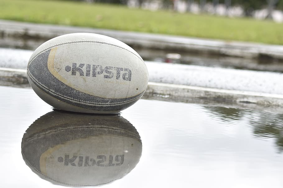 rugby, ball, water, field, grass, sport, reflection, text, western script, day