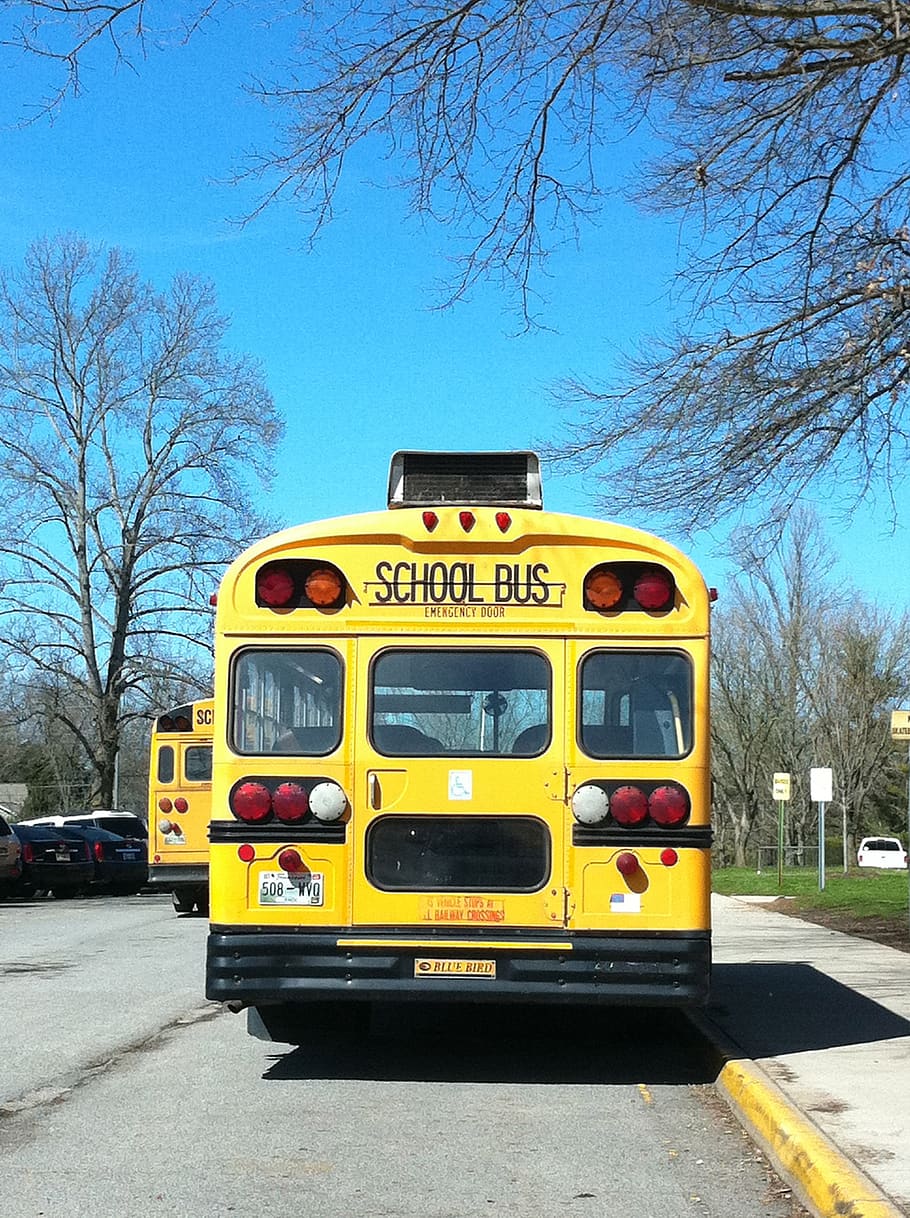 school, school bus, bus, transportation, yellow, elementary, schoolbus, kids, ride, road