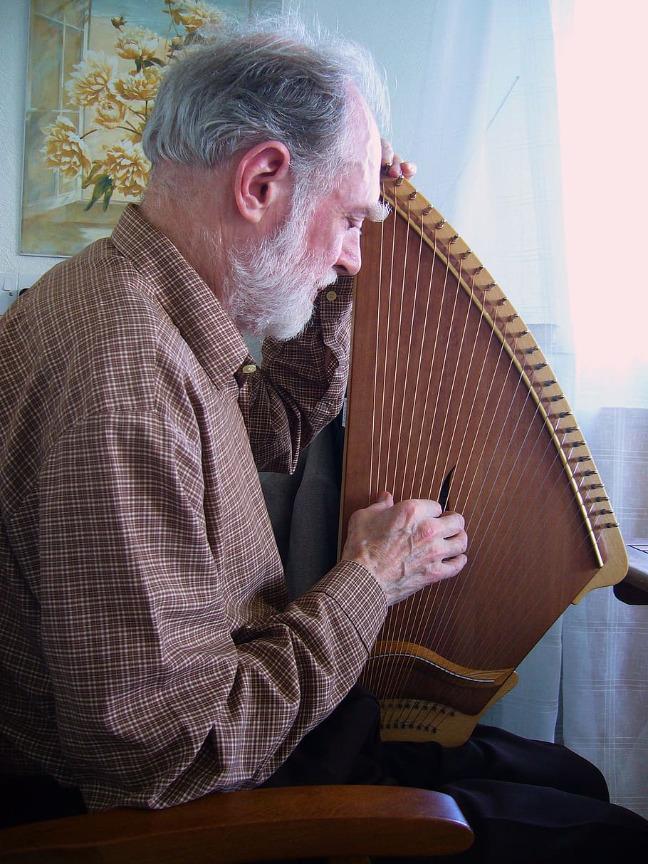 man, playing, harp, sitting, armchair, front, window, Kantele, Musician, Stringed Instrument