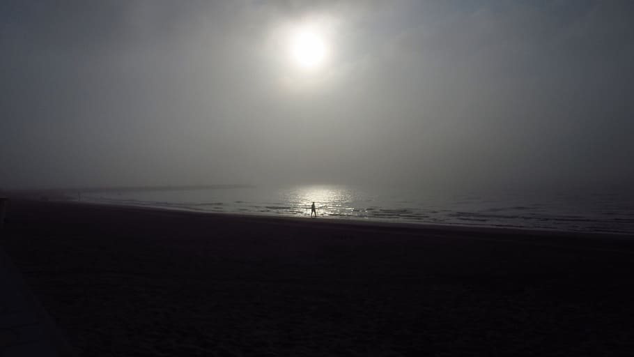 Niebla, Playa, Humor, Caminantes, Solo, Solitario, gris, sombrío, mar, costa