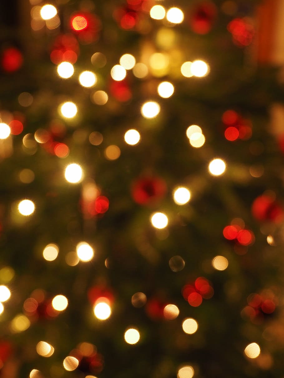 fotografi bokeh, lampu senar, natal, tidak fokus, bokeh, lampu, titik cahaya, diterangi, dekorasi, malam