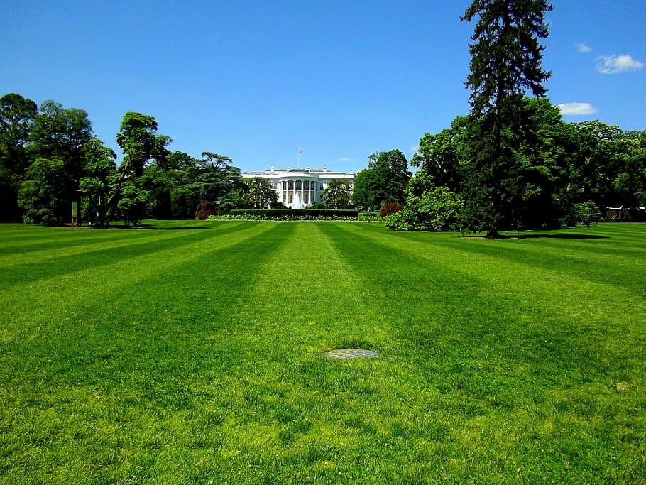 hijau, bidang rumput, biru, langit, rumah putih, presiden, rumah, washington, dc, amerika