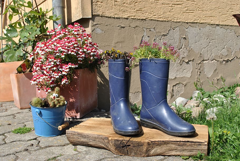 Nature, Garden, Pink, Flower, flowers, pink flower, rubber boots, plant, day, growth