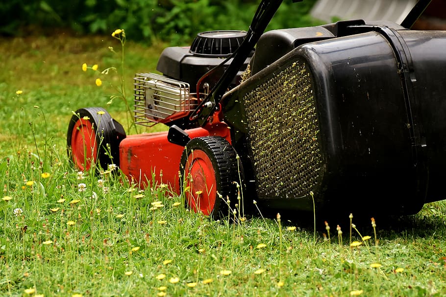 red, black, mow, lawn mowing, green, meadow, gardening, grass surface, cut, cut grass