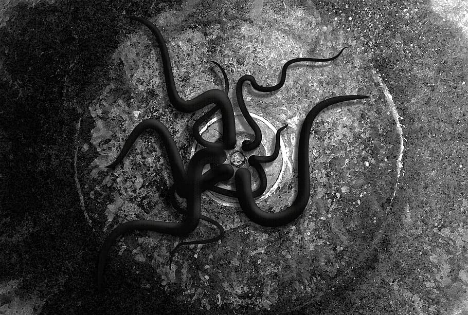 grayscale photography, worms, round drainage, grayscale, photography, round, drainage, dark, monster, scary