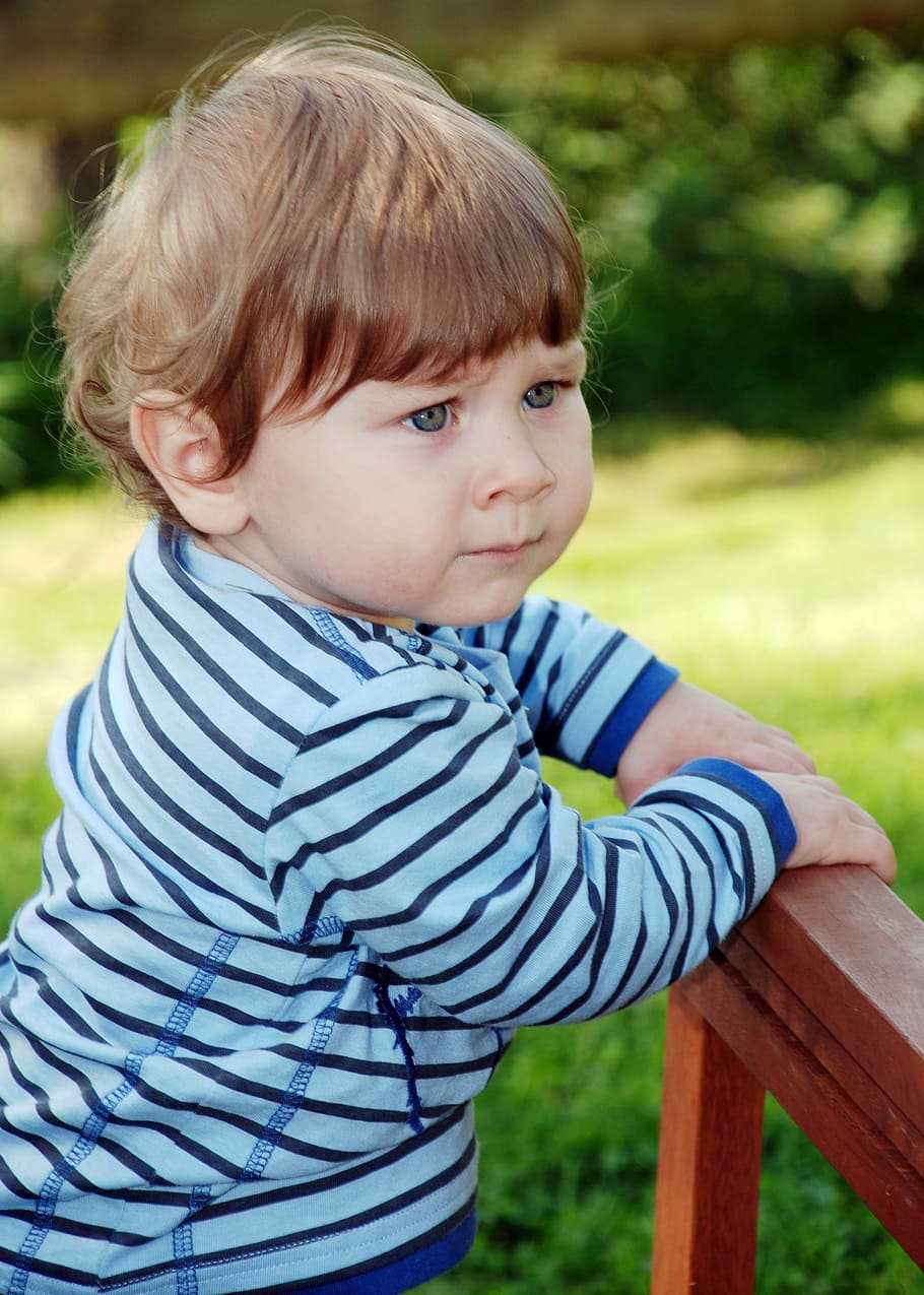 toddler, holding, brown, wooden, rack, small child, boy, skeptical, child, young