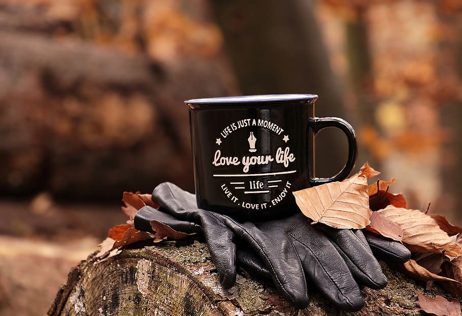 forest, autumn, cup, love your life, motto, gloves, fall foliage, rest, break, tree trunks