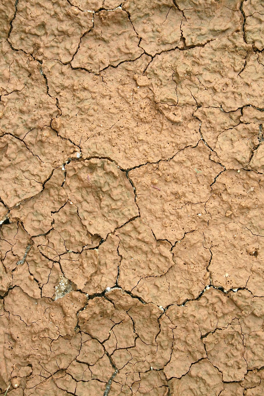 Soil, Mud, Crack, Dry, Drought, the luxury cruise ship, surface, structure, clay, sample