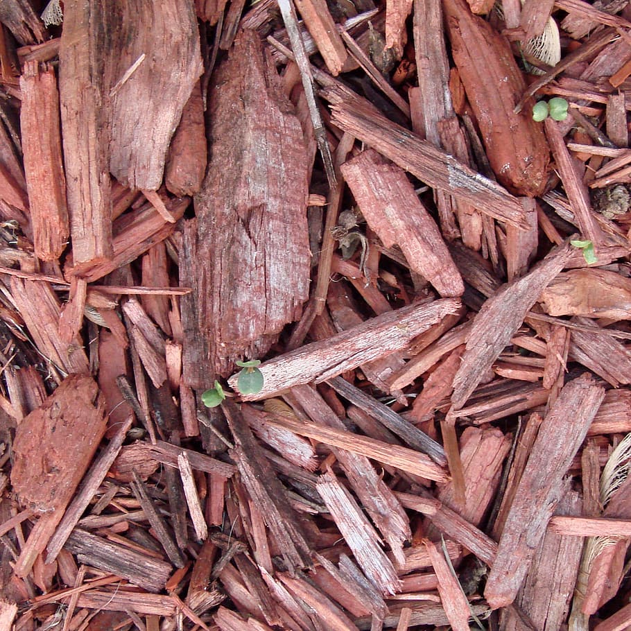lote de leña marrón, mantillo, jardinería, tierra, al aire libre, rojo, marrón, orgánico, material, compost