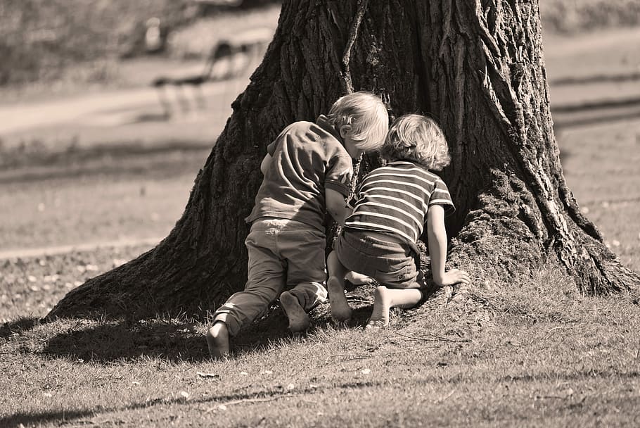 dois, meninos, ajoelhado, árvore, garotinho, menino, criança, crianças, jogar, ao ar livre