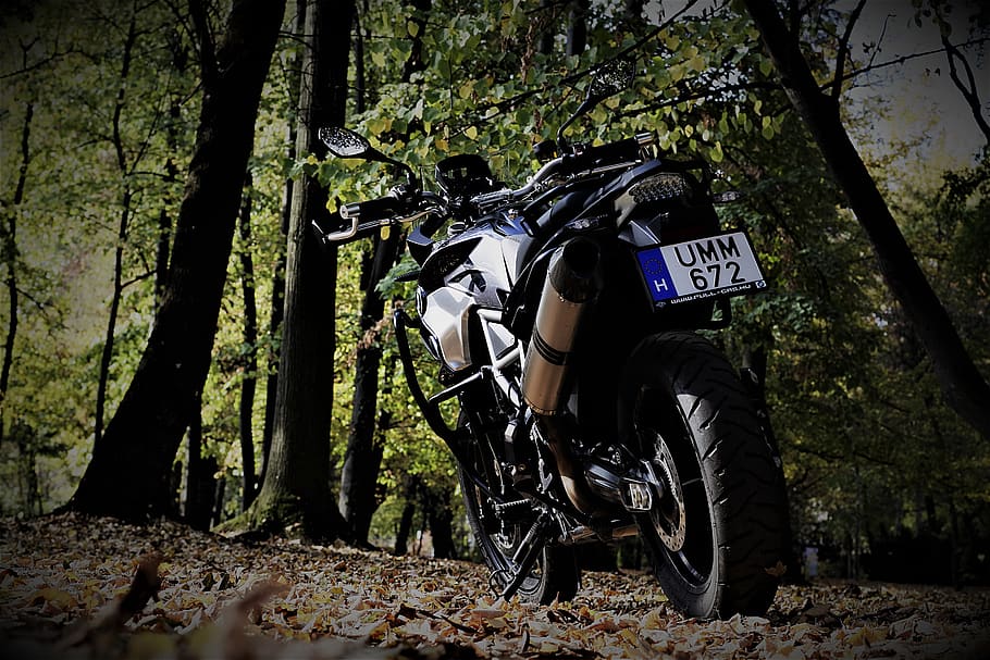 engine, bmw, f700gs, gs, land, tree, plant, forest, nature, bicycle