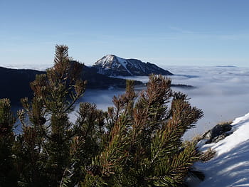 slovakia-mountains-winter-trees-slopes-cold-royalty-free-thumbnail.jpg