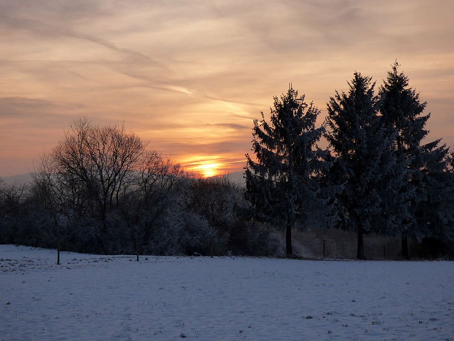 sunset, winter, snow landscape, sun, white, cold, trees, air, evening, luxembourg