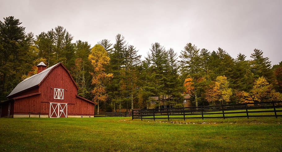 red, gray, house, trees, clear, sky, daytime, barn, farm, ranch