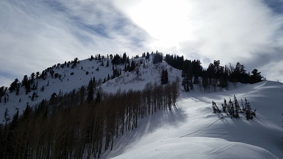 sol, cielo, nube, invierno, raquetas de nieve, esquí, Utah, bosque, cresta, aventuras