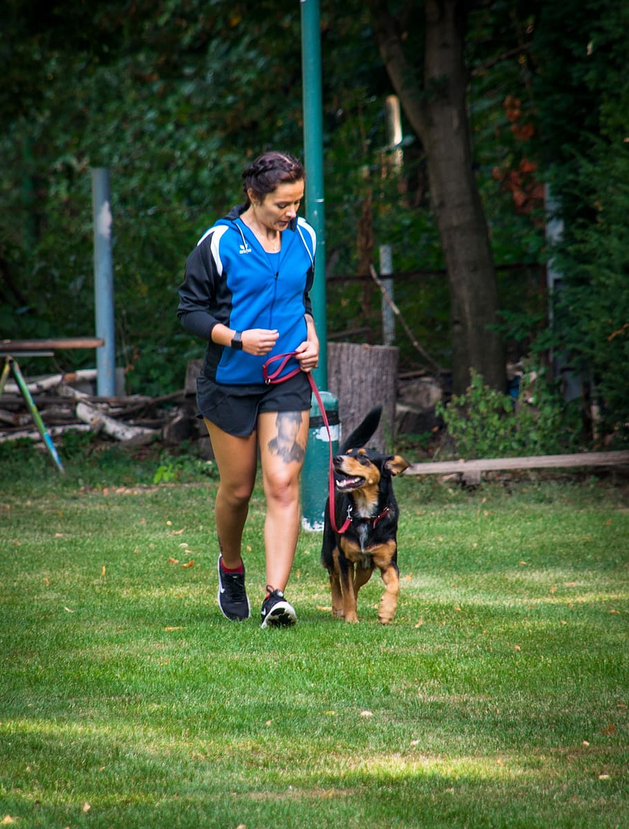 run, go, when walking, at foot, leash, on the lead run, footwork, companion dog exam, team test, hundesport
