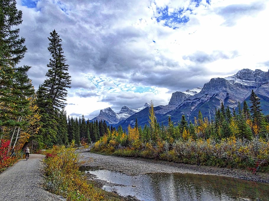 otoño, montañas, bosque, río, ciclismo, rockies, canadá, paisaje, escénico, desierto