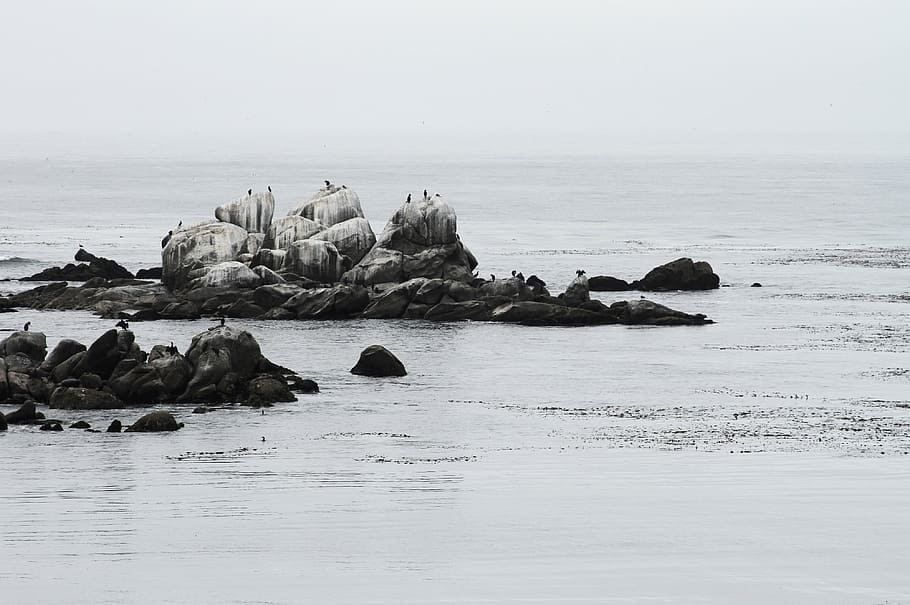 rocks, body, water, group, people, white, stone, nature, coast, shore