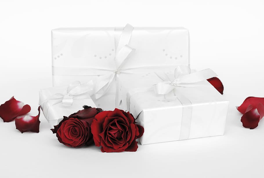 tiga, putih, dibungkus, kotak hadiah, mawar, hadiah, kejutan, dikemas, cinta, terbuka
