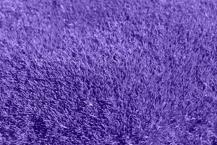 クローズアップ 写真 フリース 紫 テキスタイル 背景 草 ライラック カーペット ファブリック Pxfuel