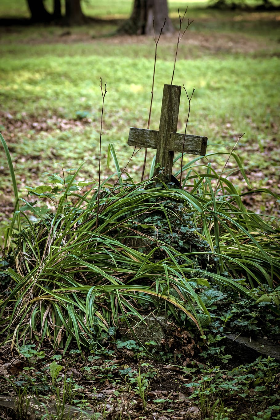 o túmulo de, antigo cemitério, lápide, cruz, abandonado, funeral, luto, morte, triste, cemitério