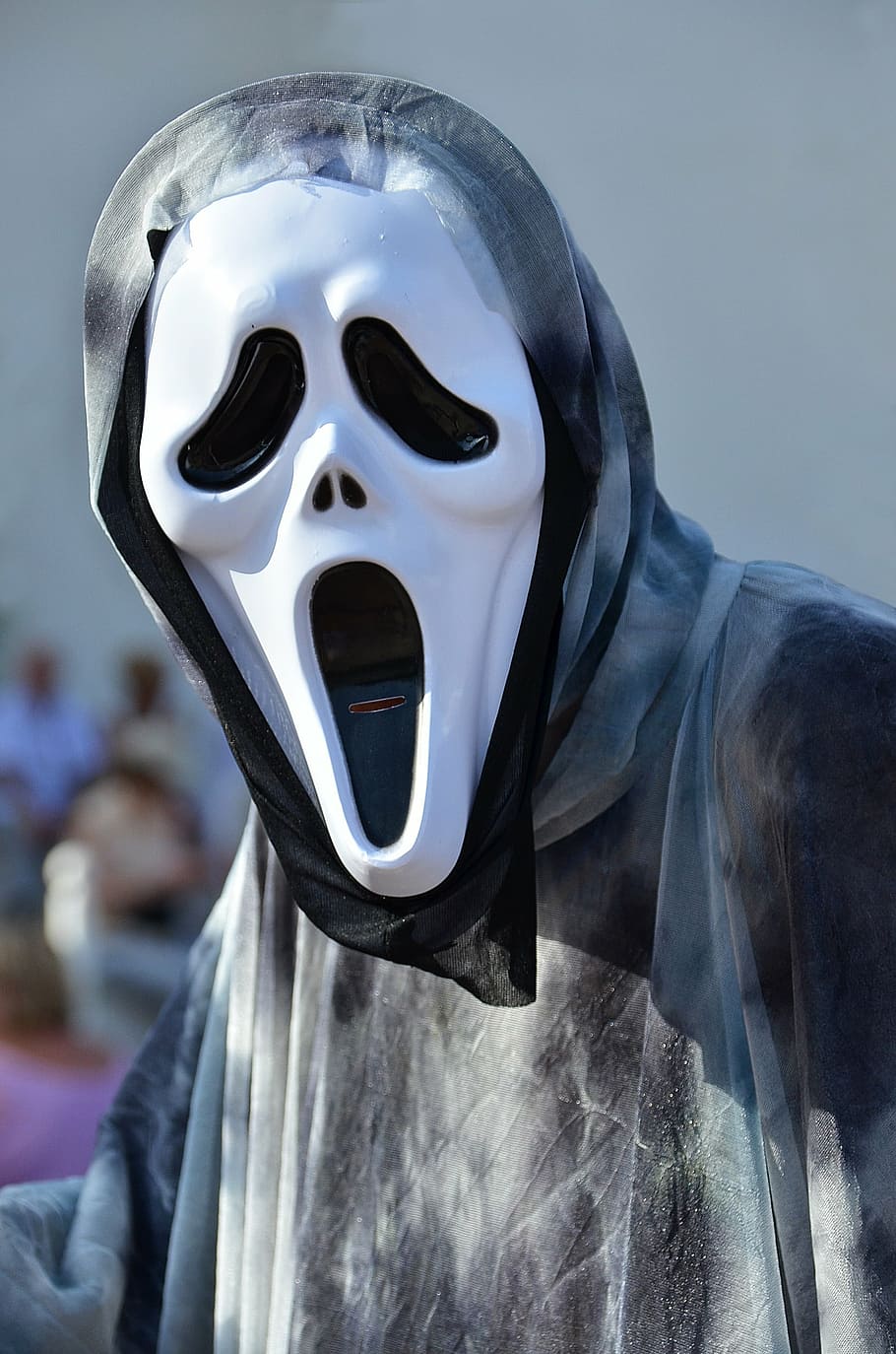 persona, vistiendo, máscara de cara fantasma, Halloween, máscara, fantasma, miedo, cráneo, grito, película