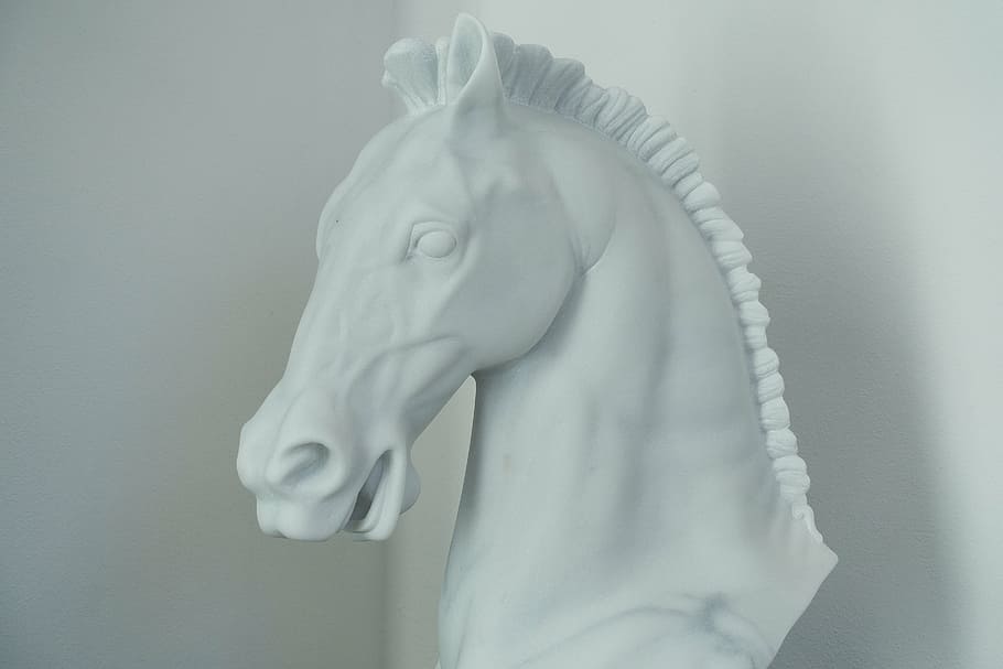 white, horse bust, corner wall, horse, marble, horse head, sculptor, craft, art, representation