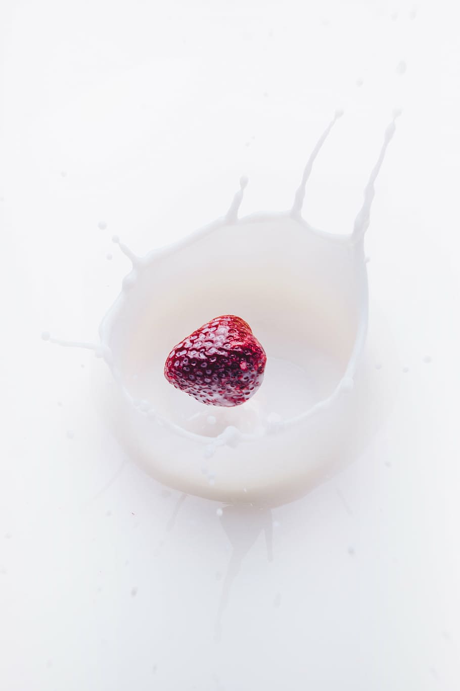 morango, fotografia de leite, fruta, caindo, branco, líquido, leite, vermelho, framboesa, creme