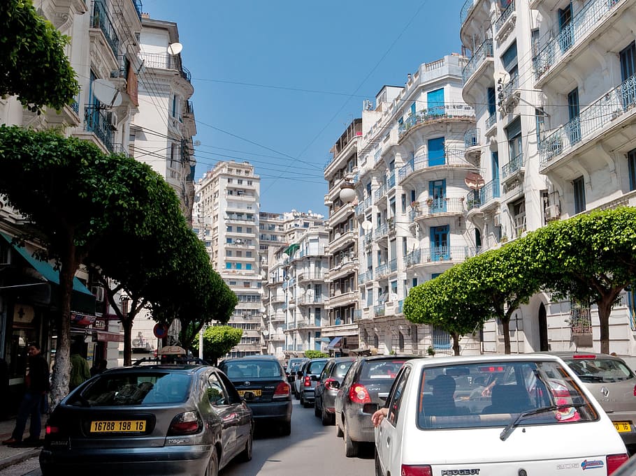 Alger, Algeria, sky, summer, blue, city, city life, building exterior, tree, street