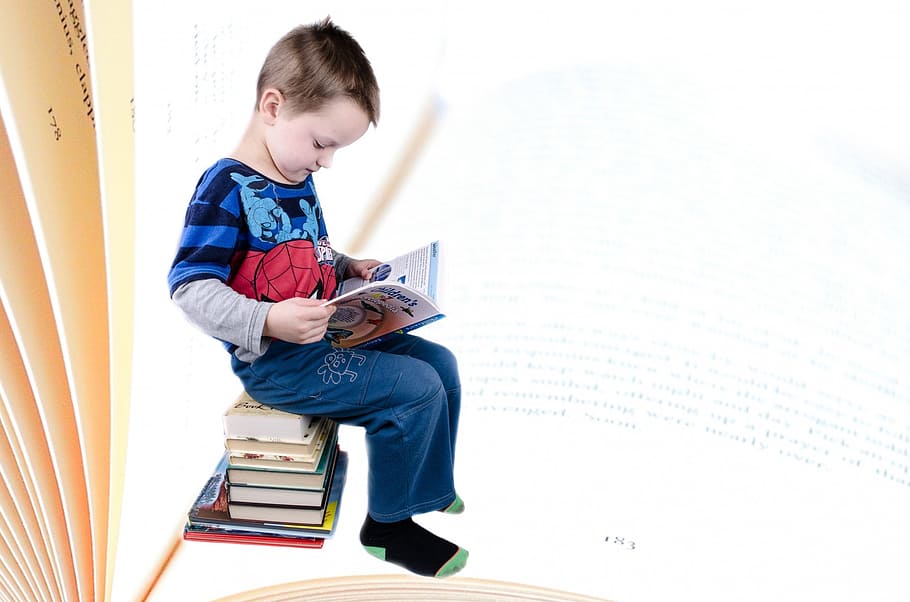 criança, homem-aranha, impresso, camisa, sentado, pilha, livros livro de leitura, livro, menino, estudando