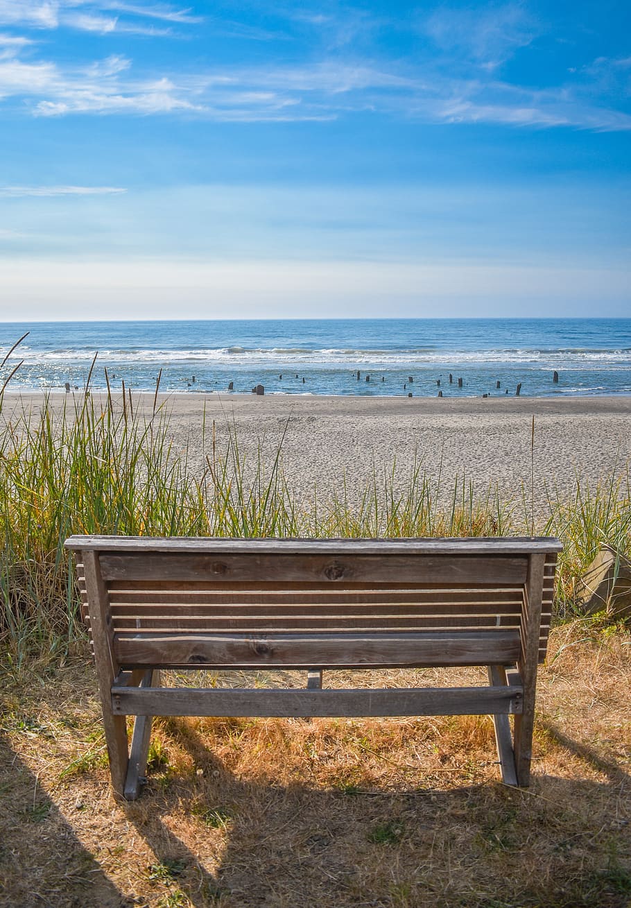 bench, ocean, coast, coastline, beach, view, nature, landscape, horizon, sand