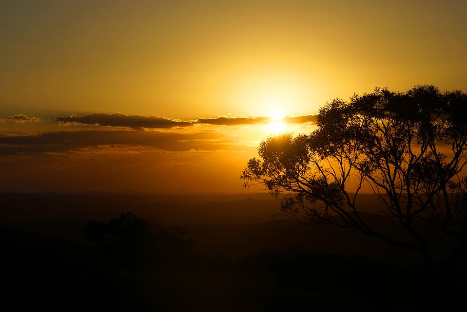 silueta, árbol, durante el día, Australia, interior, Nueva Gales del Sur, arbusto, tierras de cultivo, puesta de sol, sol