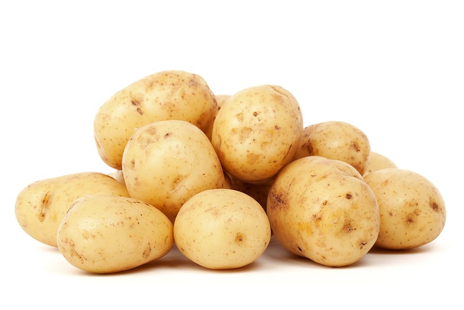 kentang, putih, permukaan, pertanian, makanan, segar, kelompok, panen, sehat, bahan