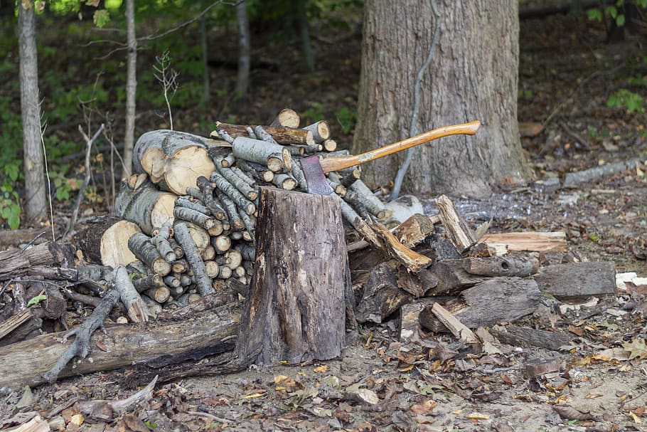 firewood, ax, logs, wood, axe, campfire, cut, chop, logging, log