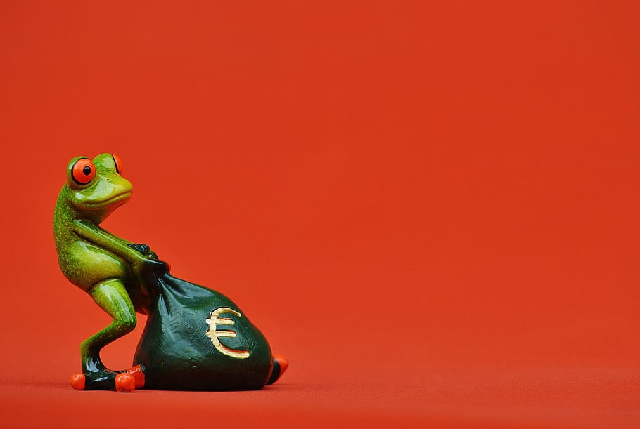 greenfrog, カエル, お金, ユーロ, バッグ, お金の袋, 面白い, かわいい, 楽しい, 図