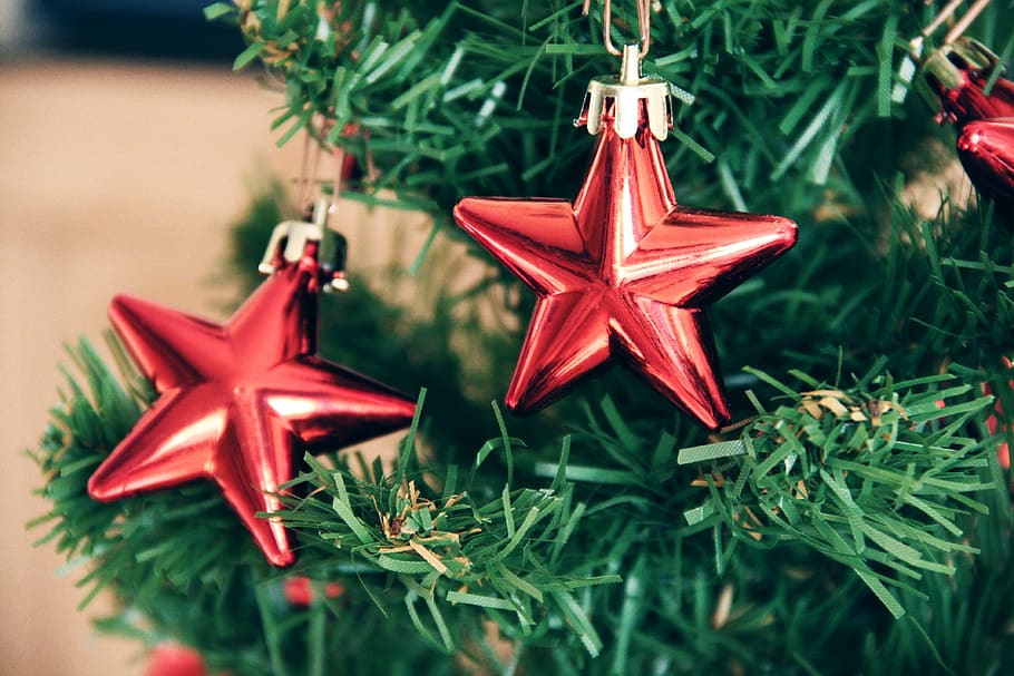 cerca, fotografía, árbol de navidad, estrellas, navidad, árbol, decoraciones, decoración navideña, feriado, decoración