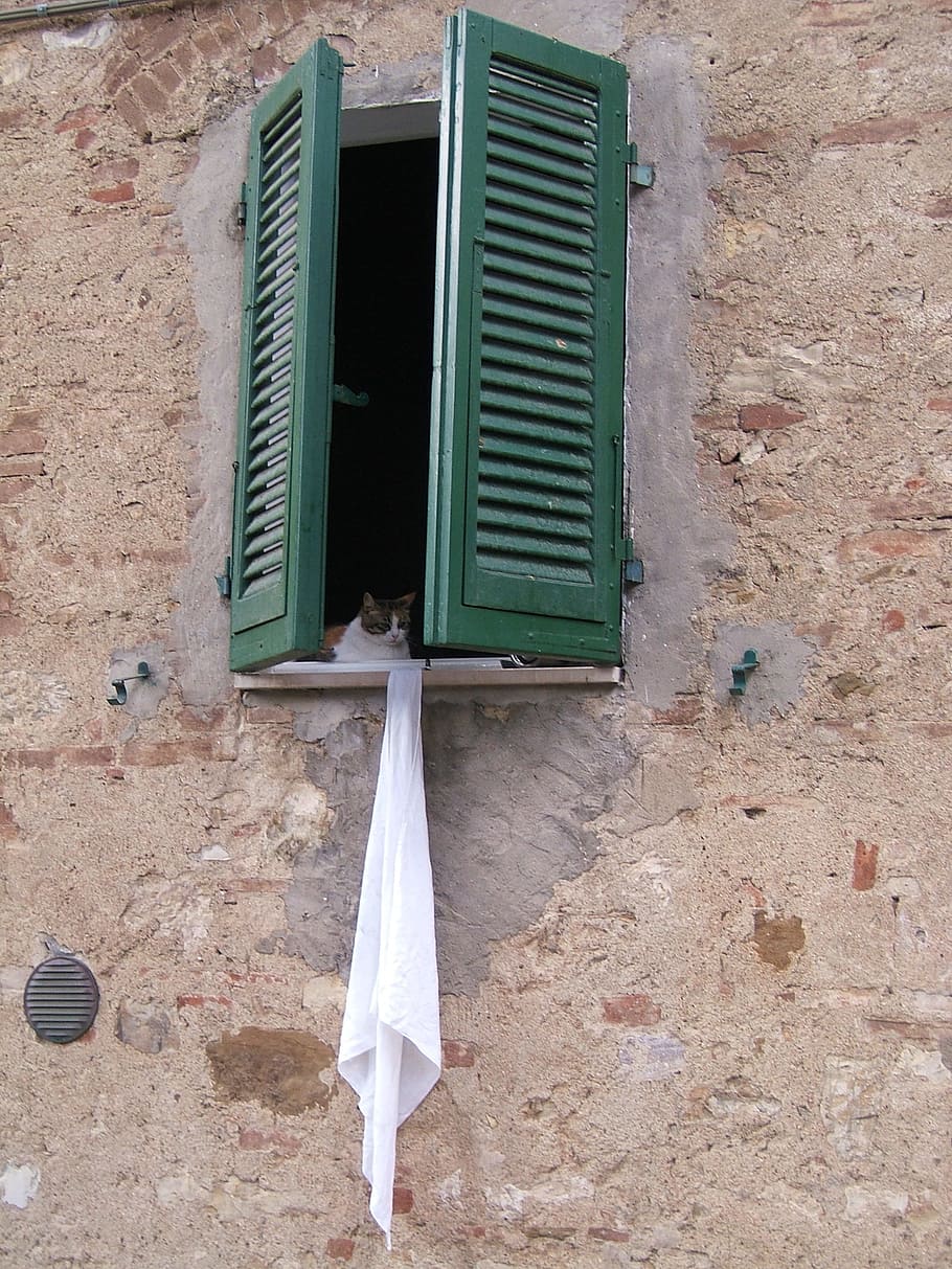 Window, Cat, Italy, Tuscany, Facade, shutters, pipe - tube, day, architecture, outdoors