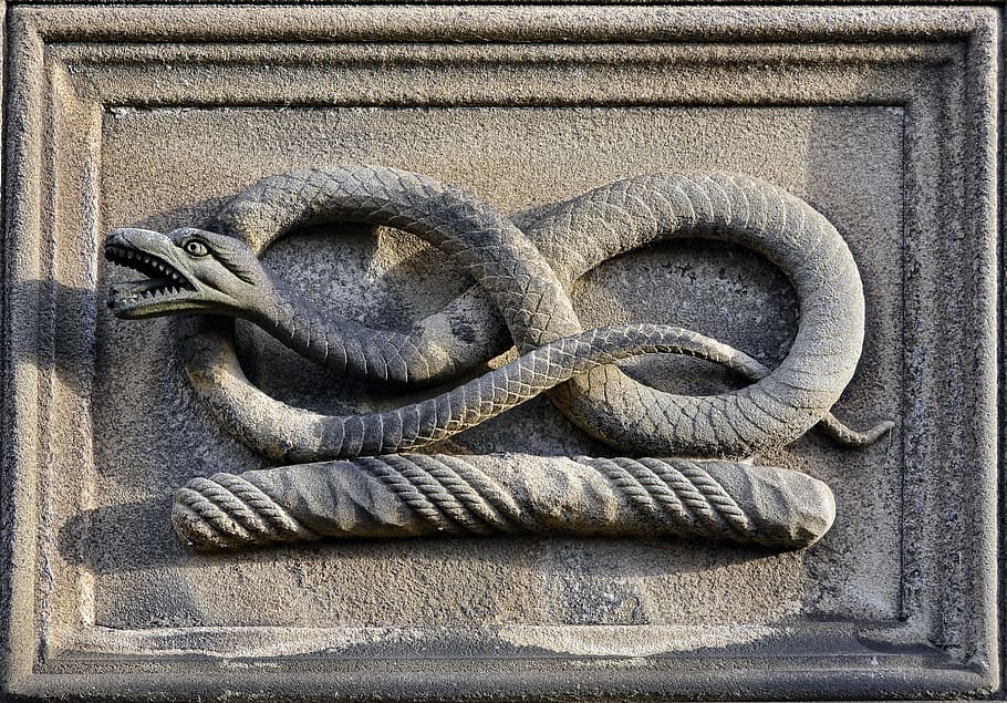 gray, clay snake decor, snake, sculpture, stone, carving, symbol, decoration, serpent, chatsworth house