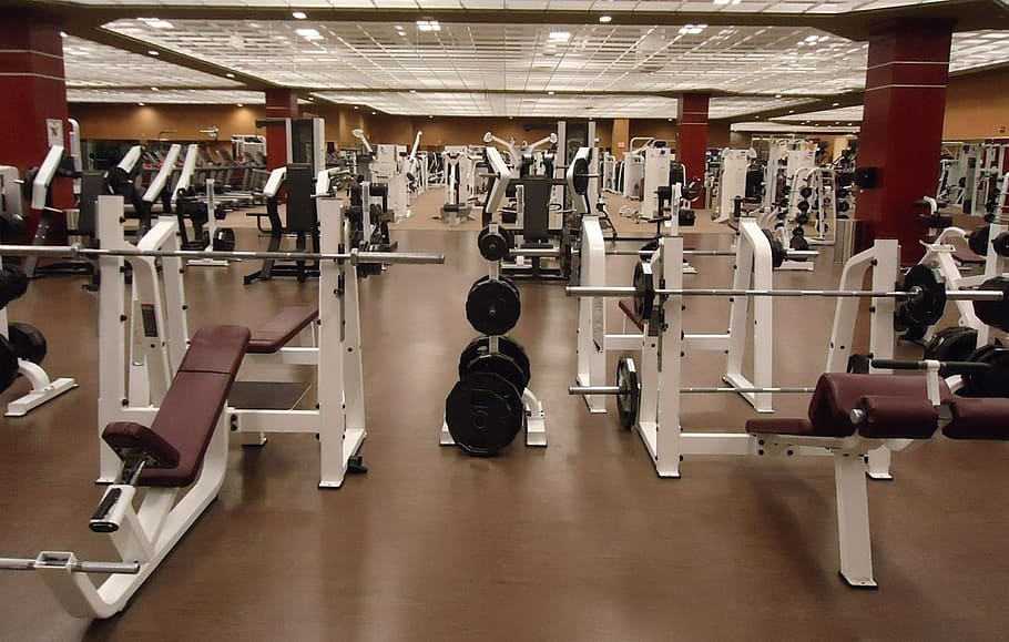 gym equipment, machines, weight, weights, lifting weights, gym, gymnasium, sports, workout, bodybuilding
