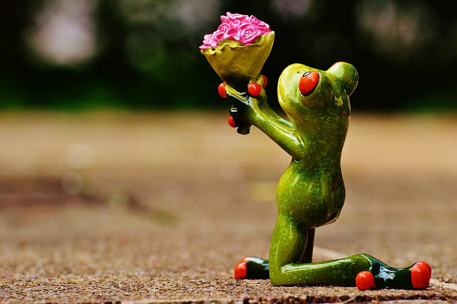 green, frog, giving, flowers, kneeling, figurine, i beg your pardon, excuse me, sweet, cute